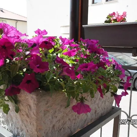 Haus In Sehr Ruhige Lage